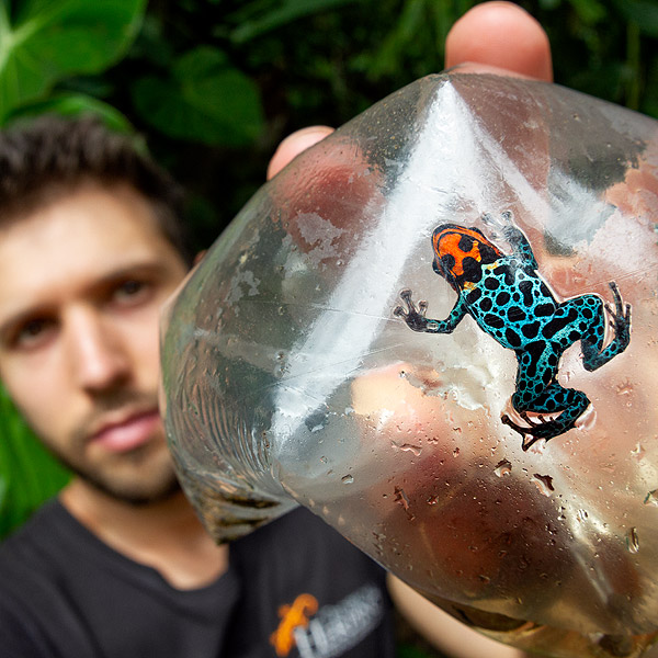 Image of a biologist holding a frog