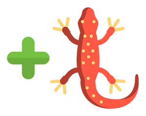 New species