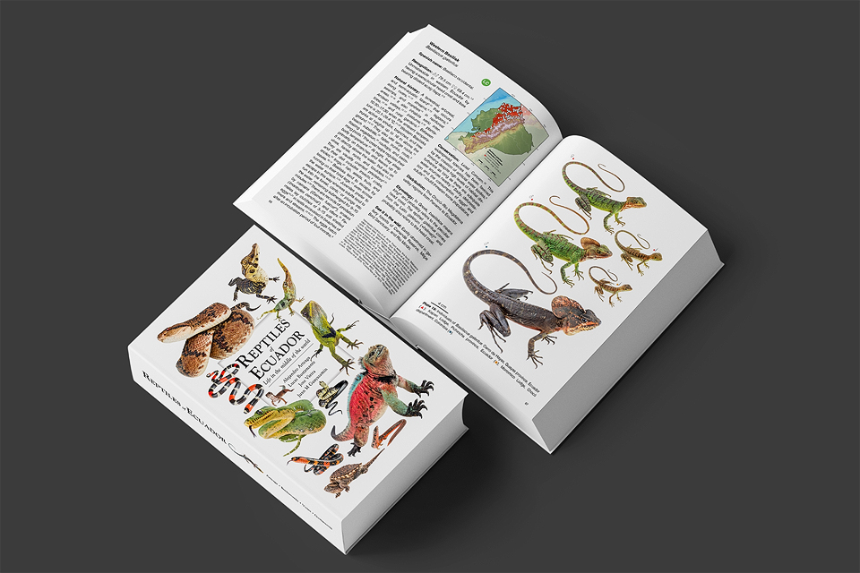 Cover of the book Reptiles of Ecuador