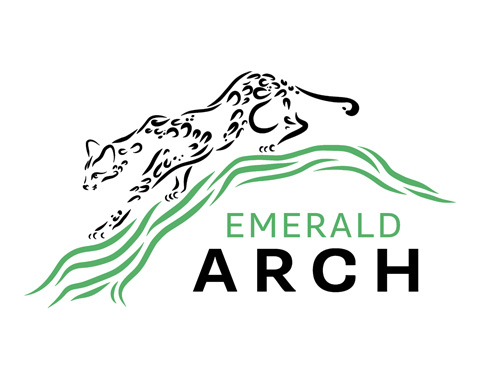 Logo of Emerald Arch