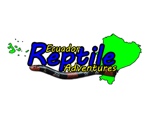 Ecuador Reptile Adventures