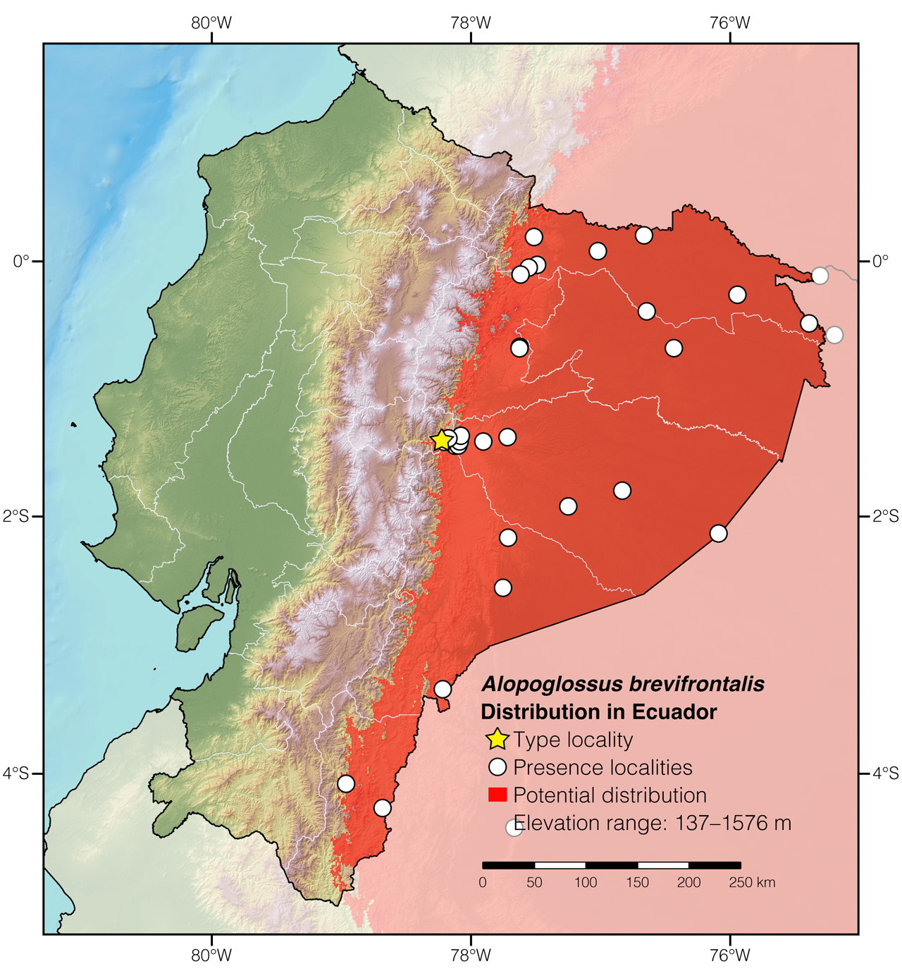 Distribution of Alopoglossus brevifrontalis in Ecuador