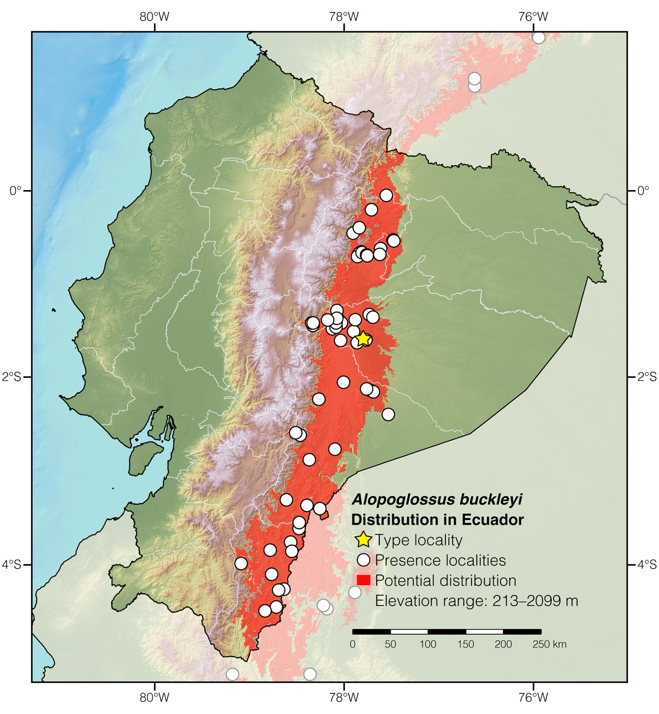 Distribution of Alopoglossus buckleyi in Ecuador