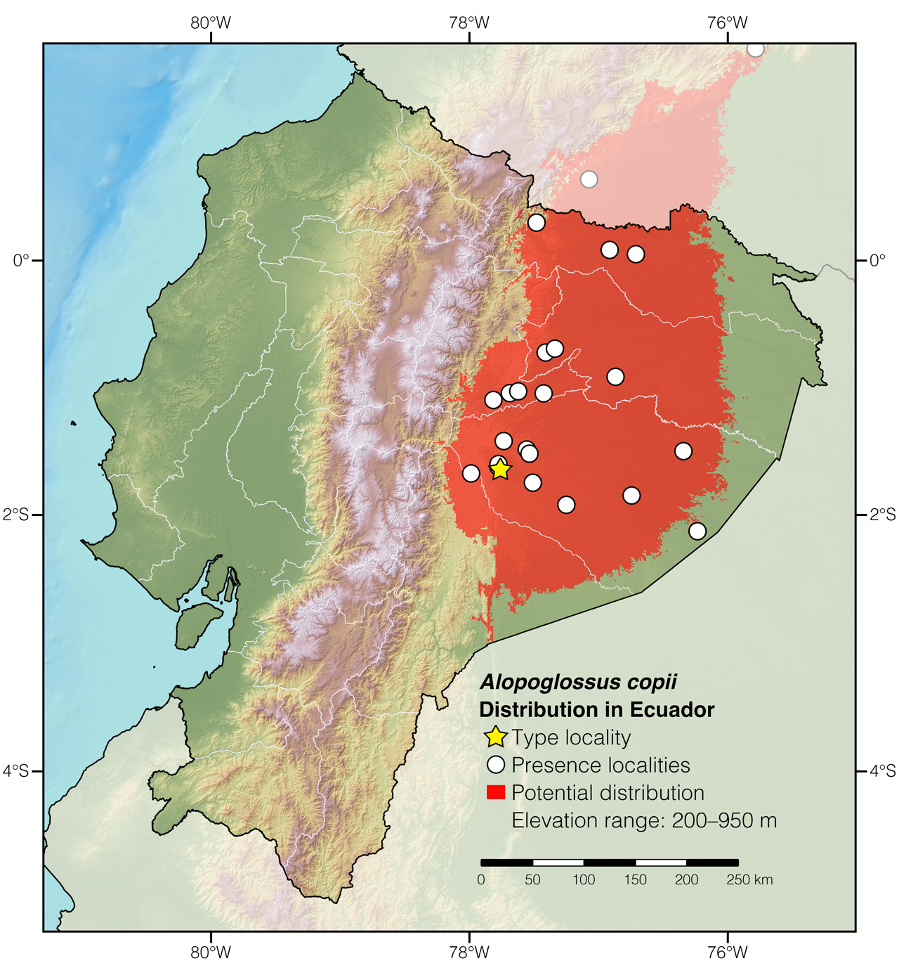 Distribution of Alopoglossus copii in Ecuador