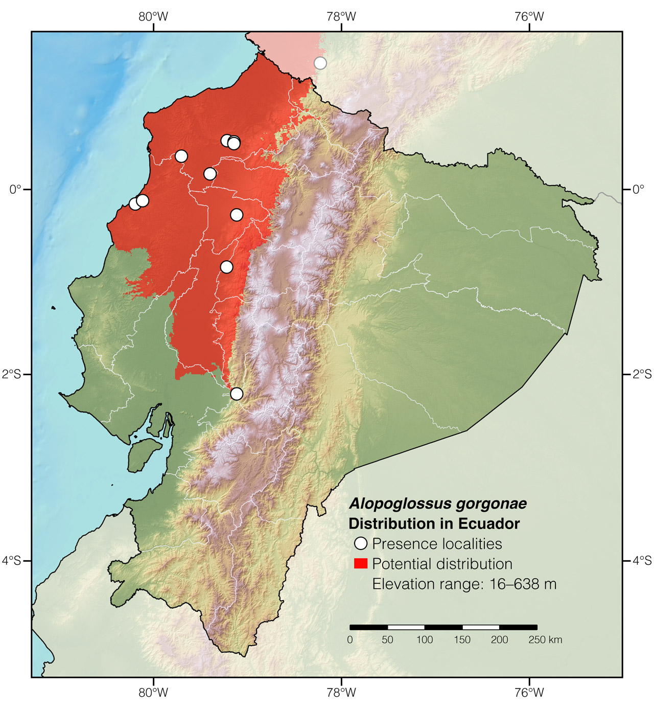 Distribution of Alopoglossus gorgonae in Ecuador