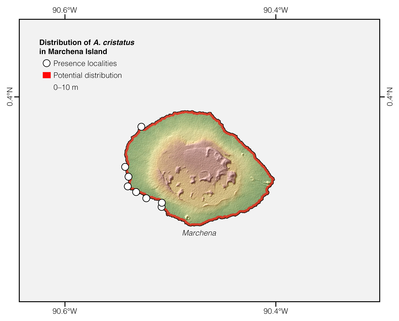 Distribution of Amblyrhynchus cristatus in Marchena Island