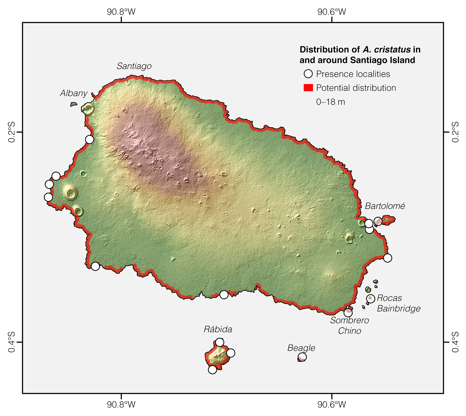 Distribution of Amblyrhynchus cristatus in and around Santiago Island