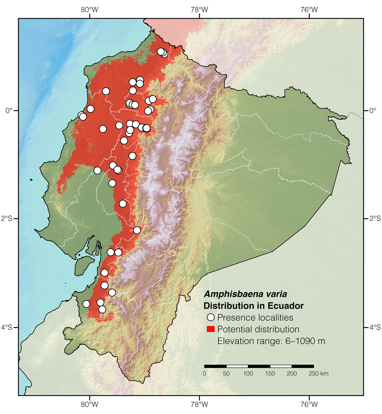 Distribution of Amphisbaena varia in Ecuador