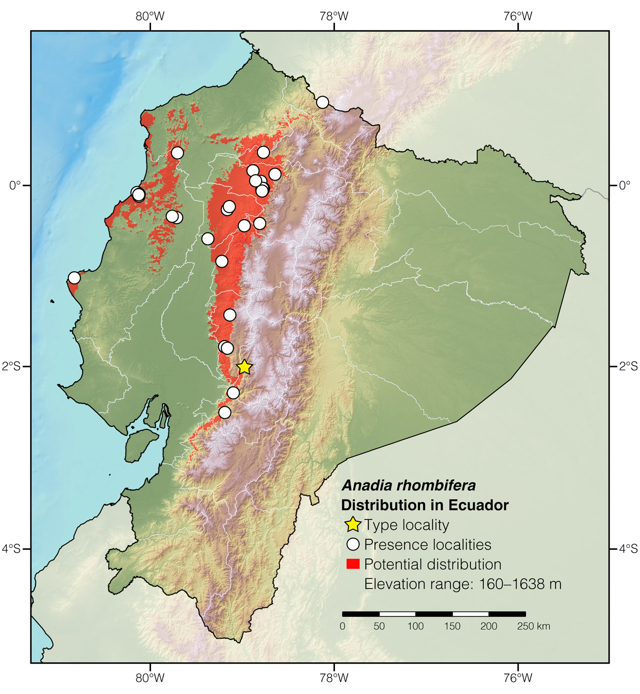 Distribution of Anadia rhombifera in Ecuador