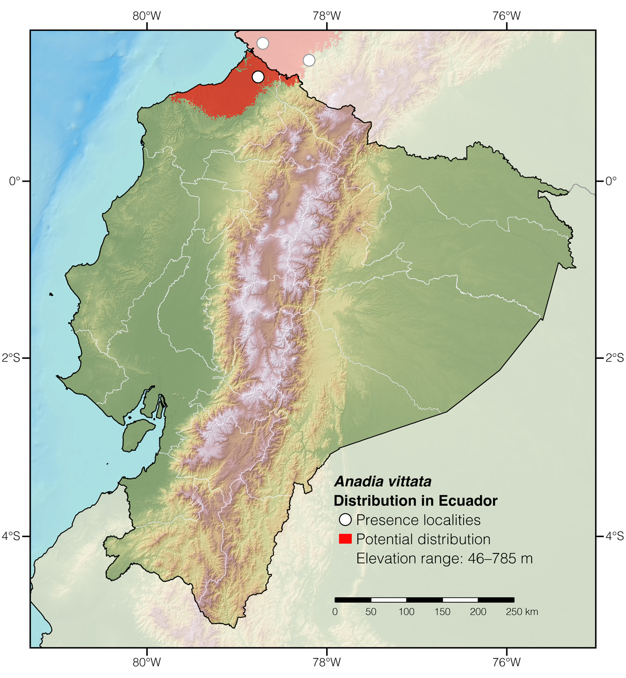 Distribution of Anadia vittata in Ecuador