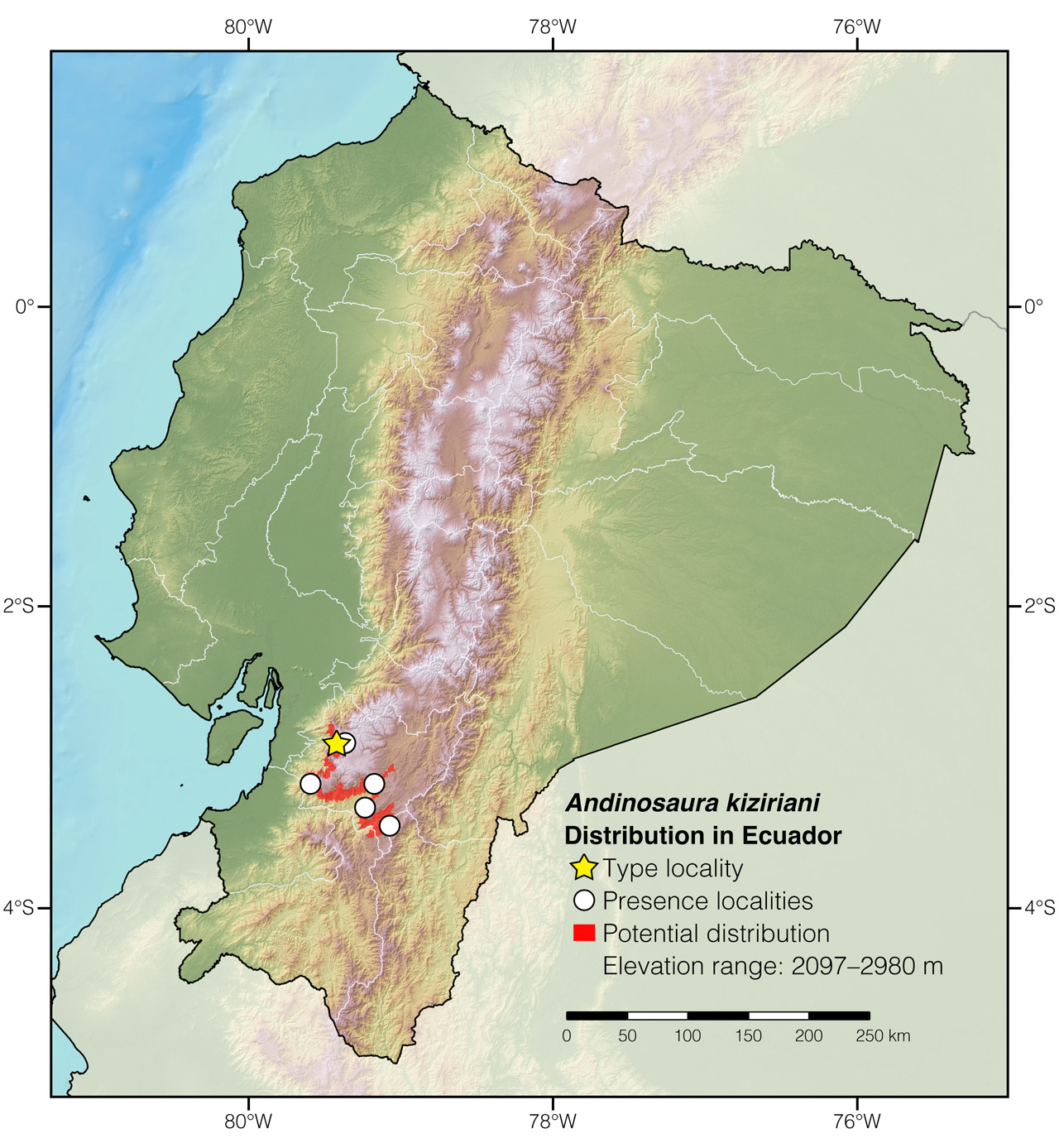 Distribution of Andinosaura kiziriani in Ecuador