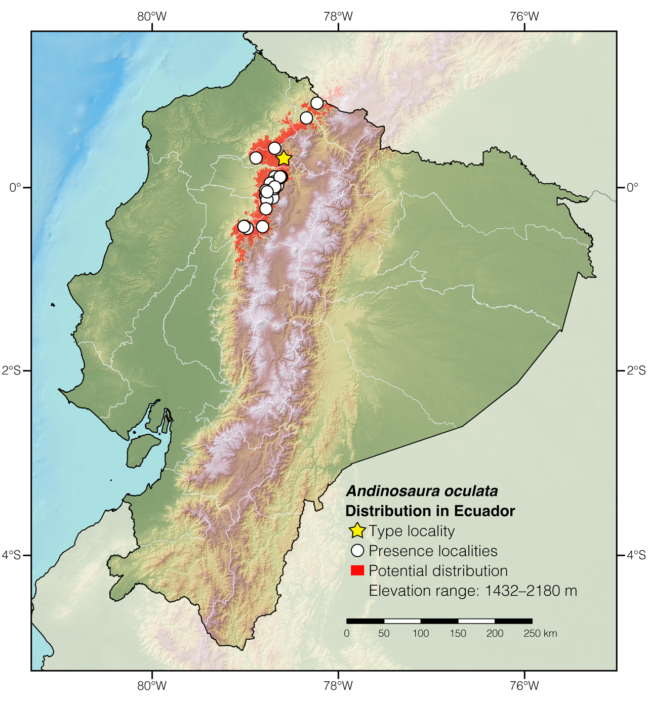Distribution of Andinosaura oculata in Ecuador