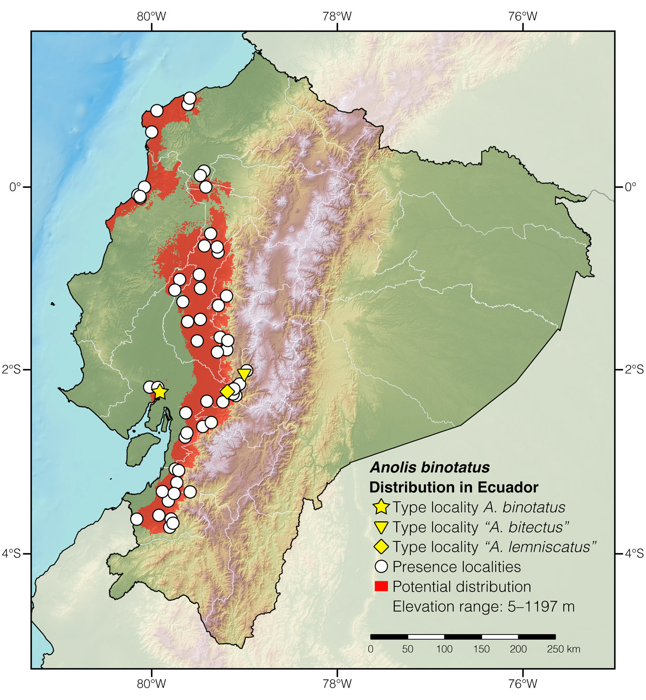 Distribution of Anolis binotatus in Ecuador