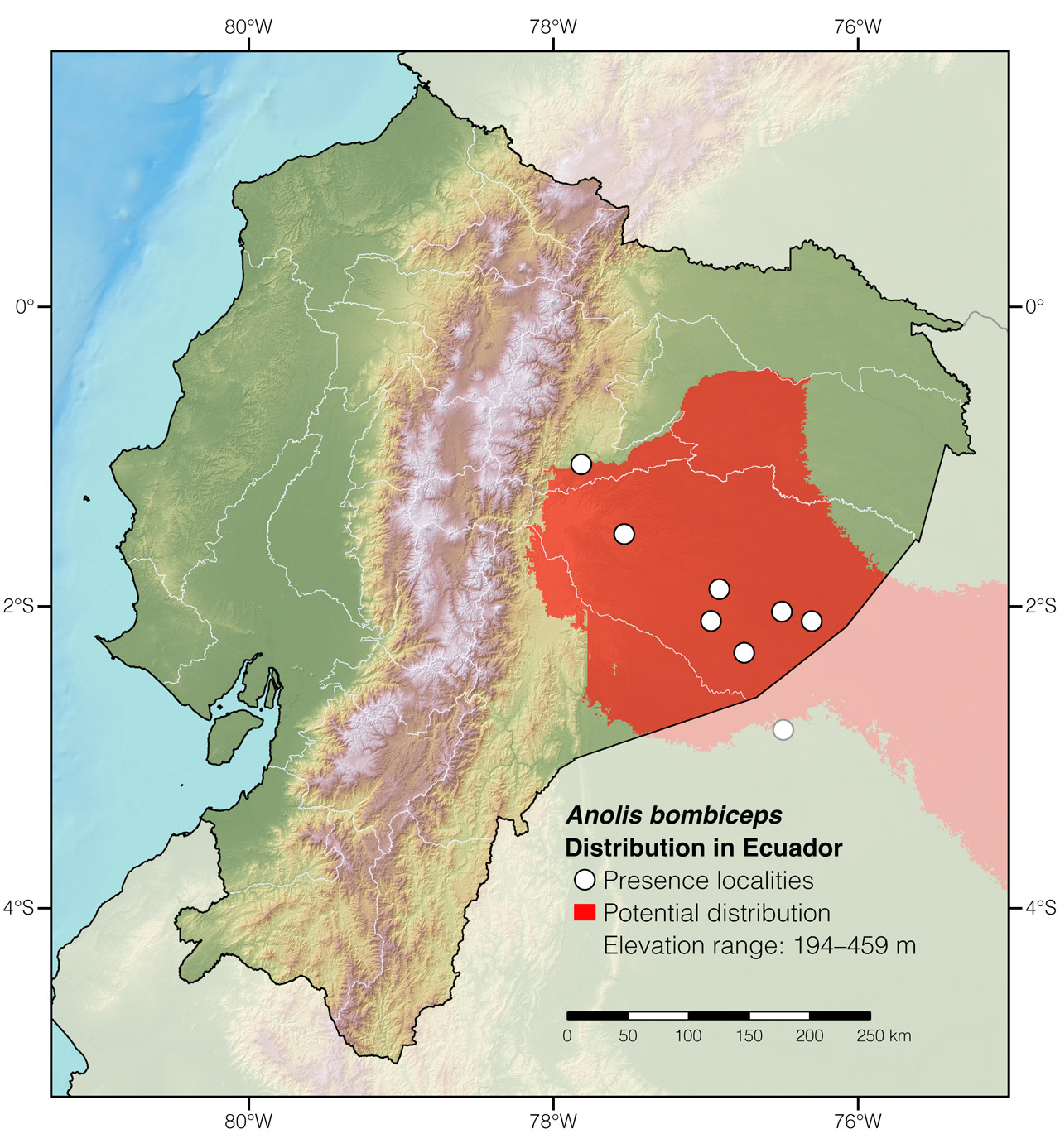 Distribution of Anolis bombiceps in Ecuador