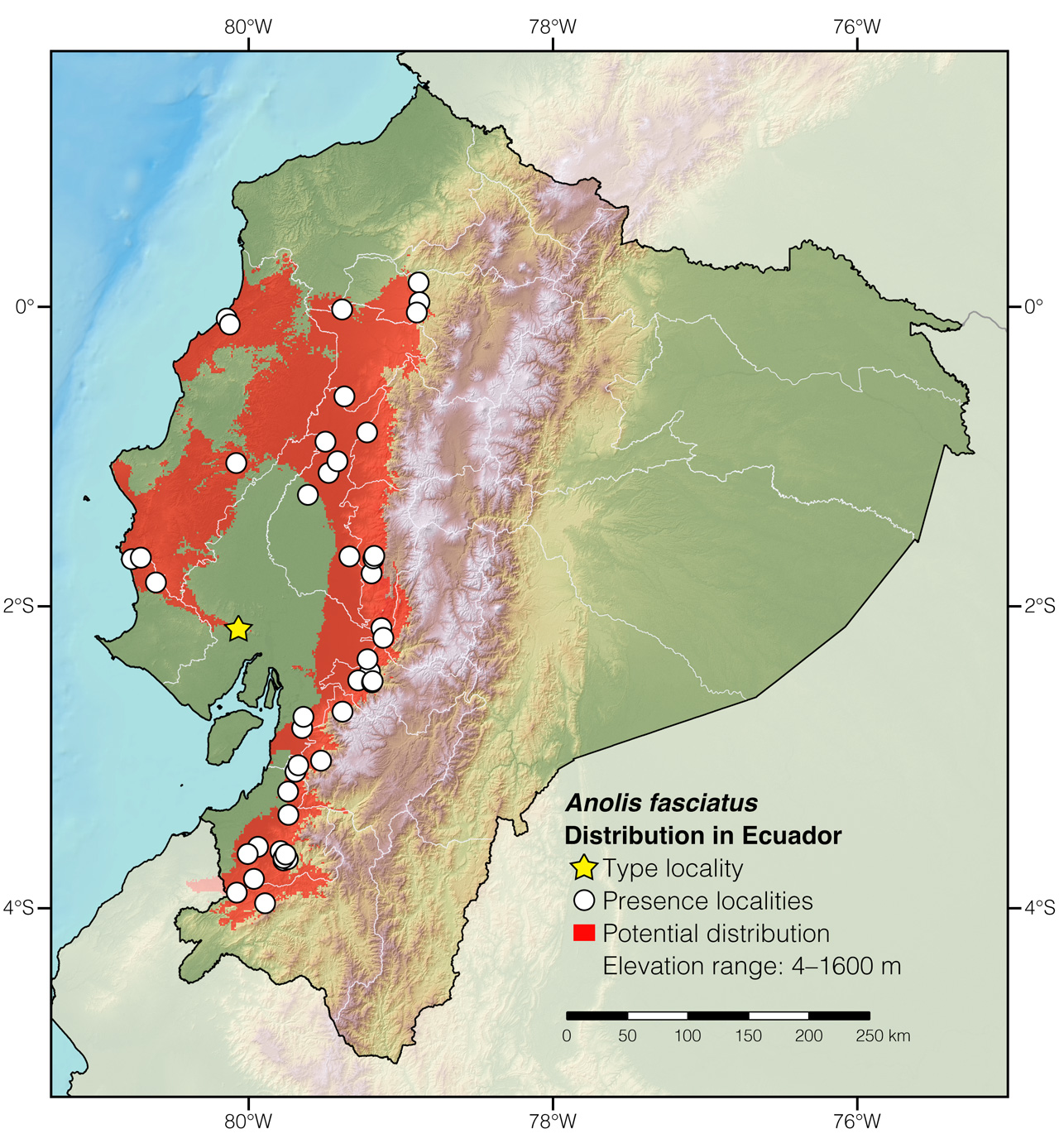 Distribution of Anolis fasciatus in Ecuador