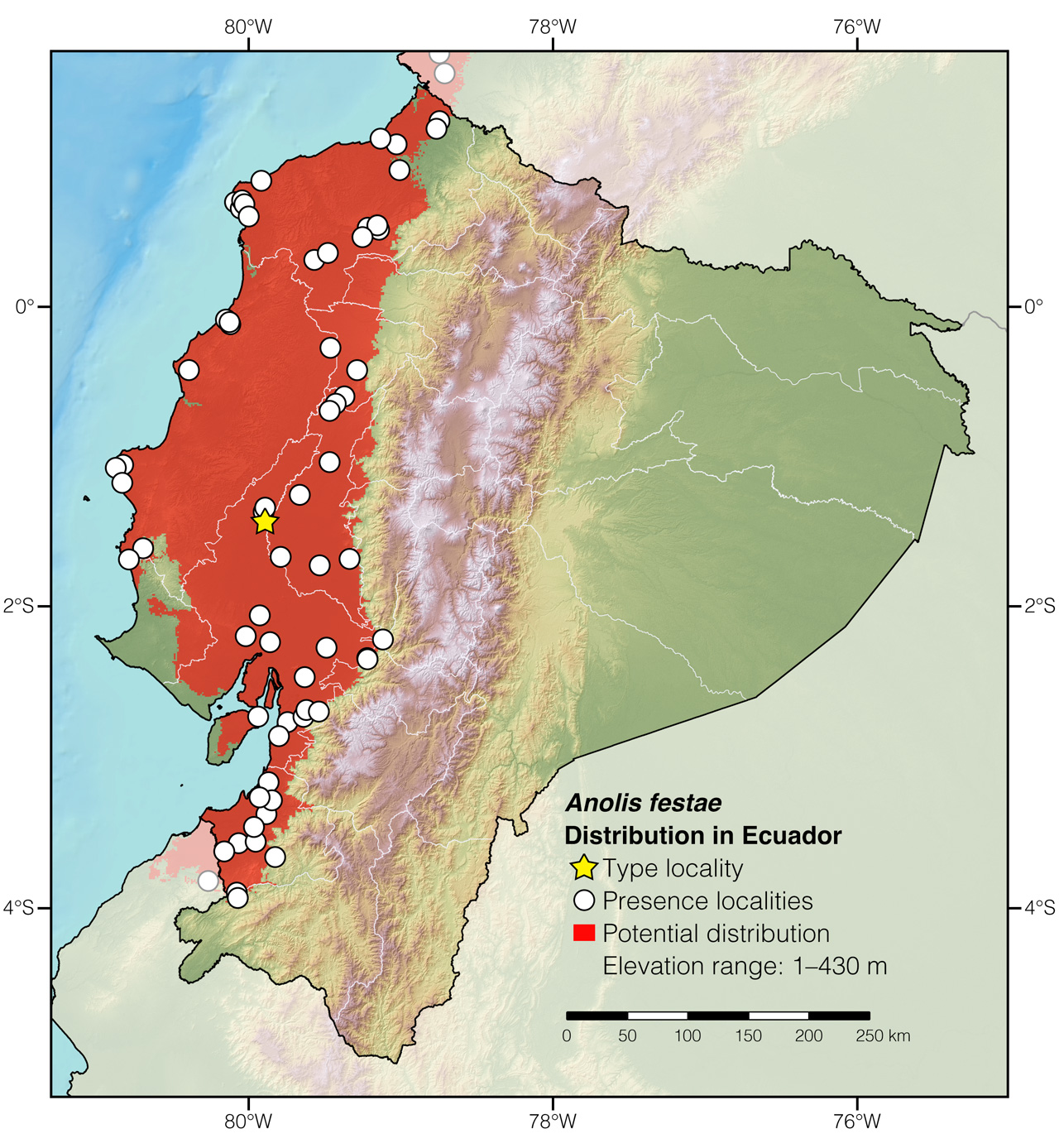 Distribution of Anolis festae in Ecuador