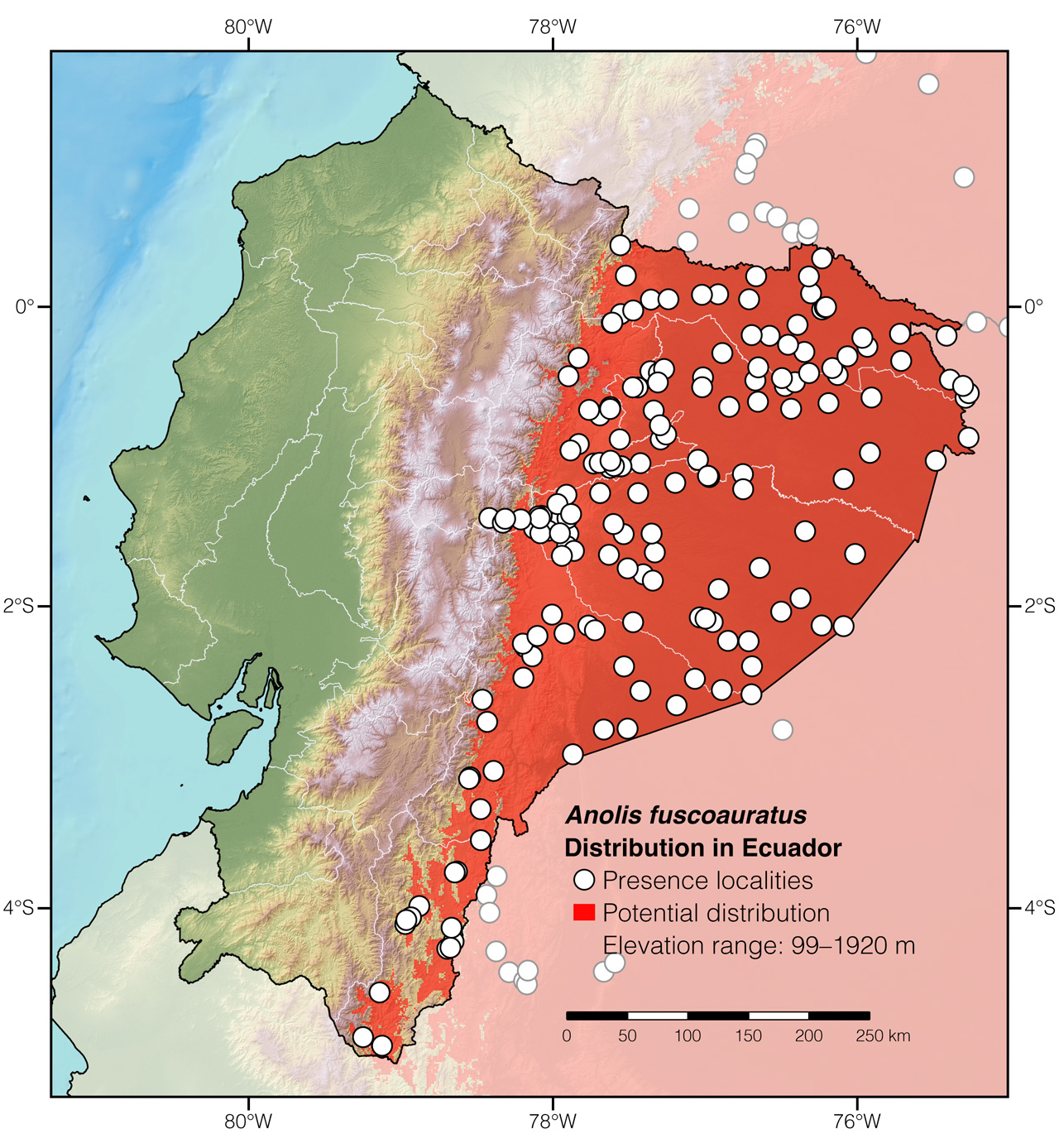 Distribution of Anolis fuscoauratus in Ecuador