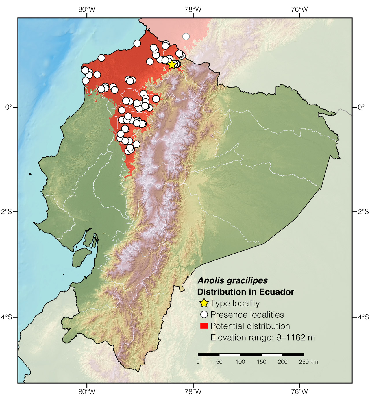 Distribution of Anolis gracilipes in Ecuador