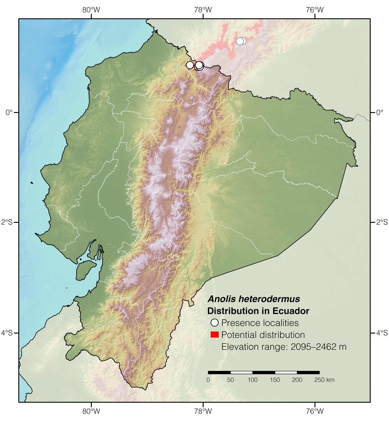 Distribution of Anolis heterodermus in Ecuador
