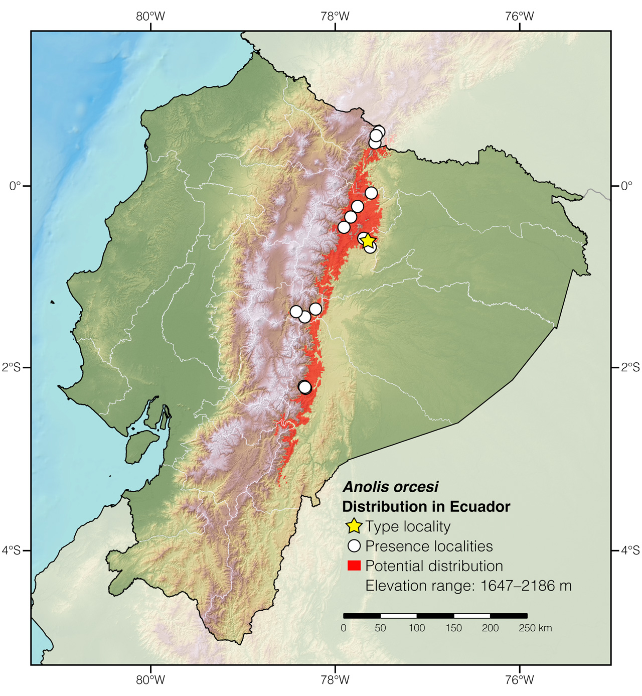 Distribution of Anolis orcesi in Ecuador