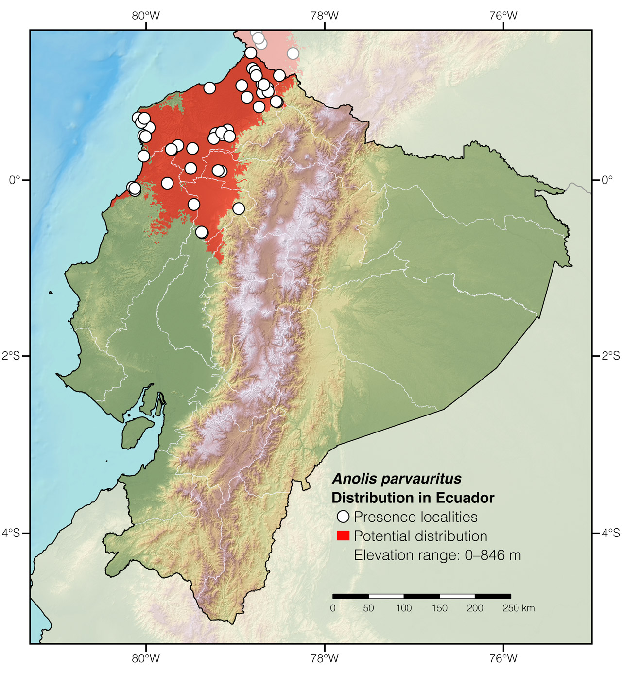 Distribution of Anolis parvauritus in Ecuador