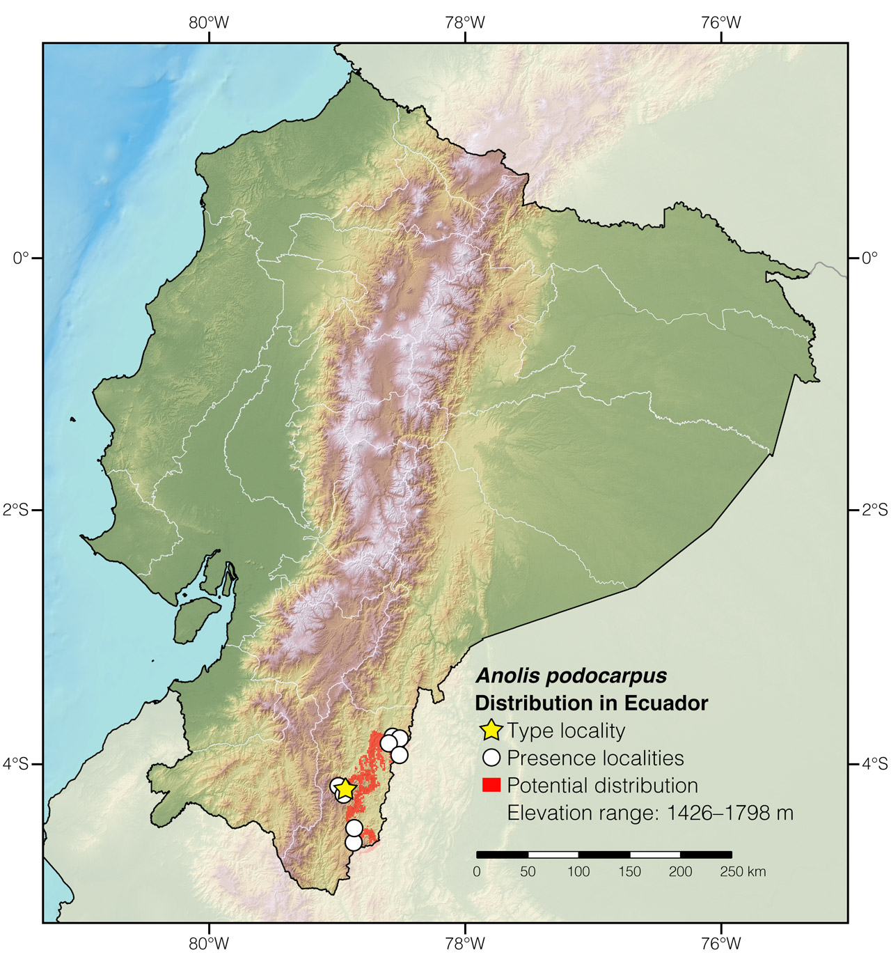Distribution of Anolis podocarpus in Ecuador
