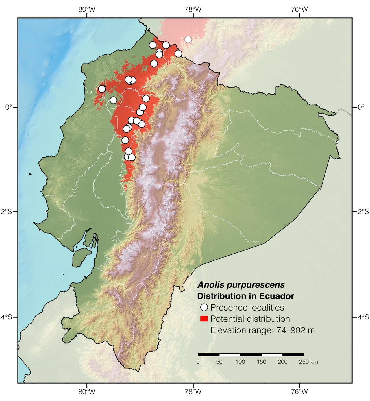 Distribution of Anolis purpurescens in Ecuador