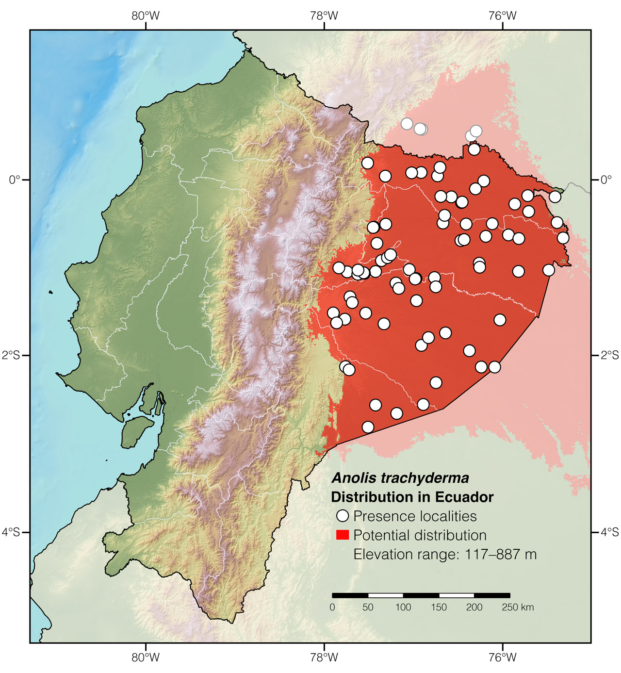 Distribution of Anolis trachyderma in Ecuador