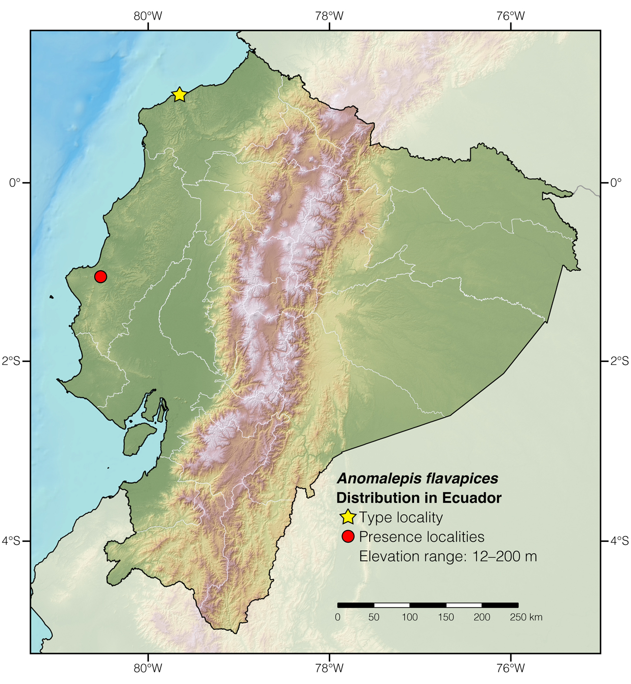 Distribution of Anomalepis flavapices in Ecuador