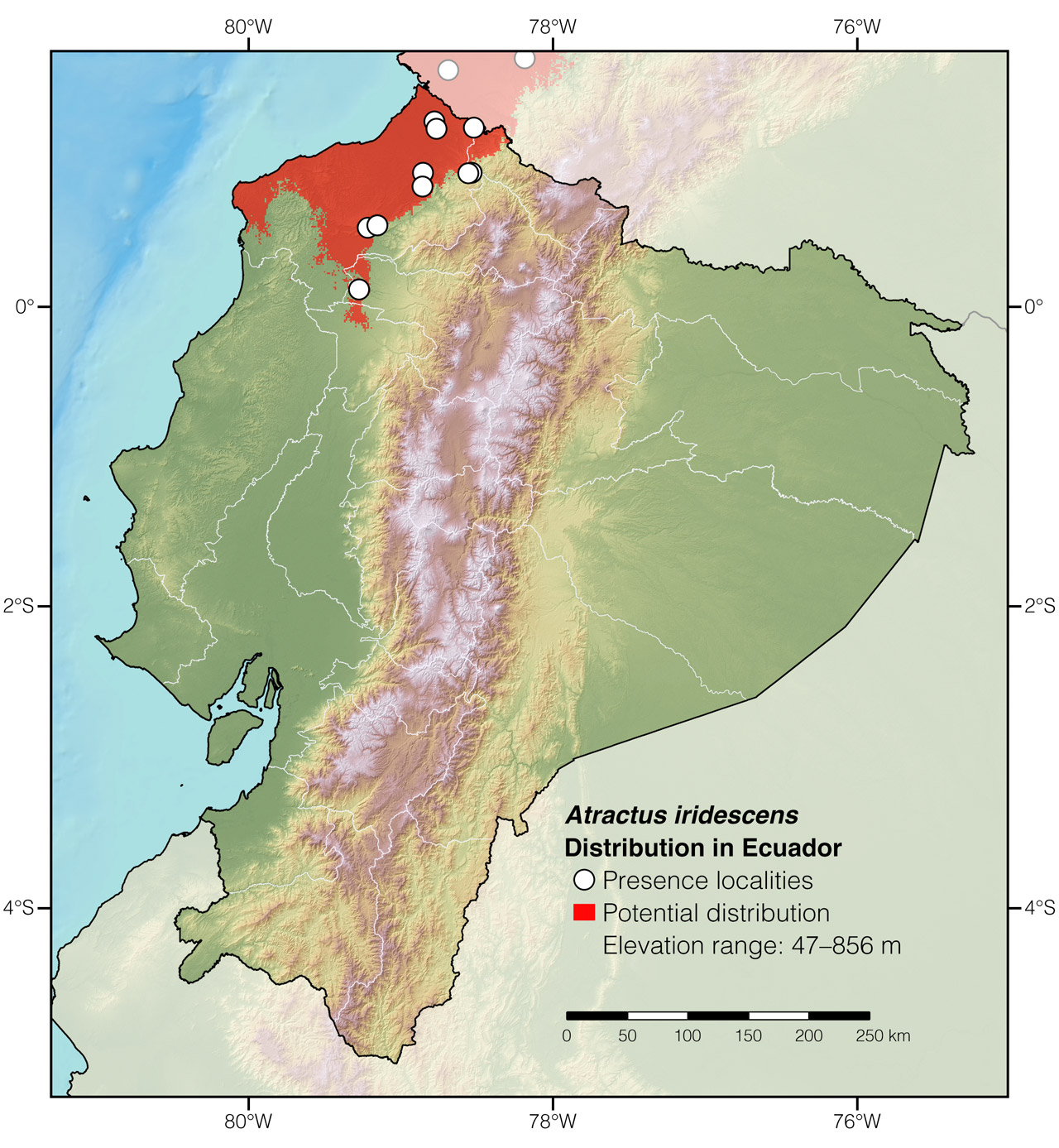 Distribution of Atractus iridescens in Ecuador