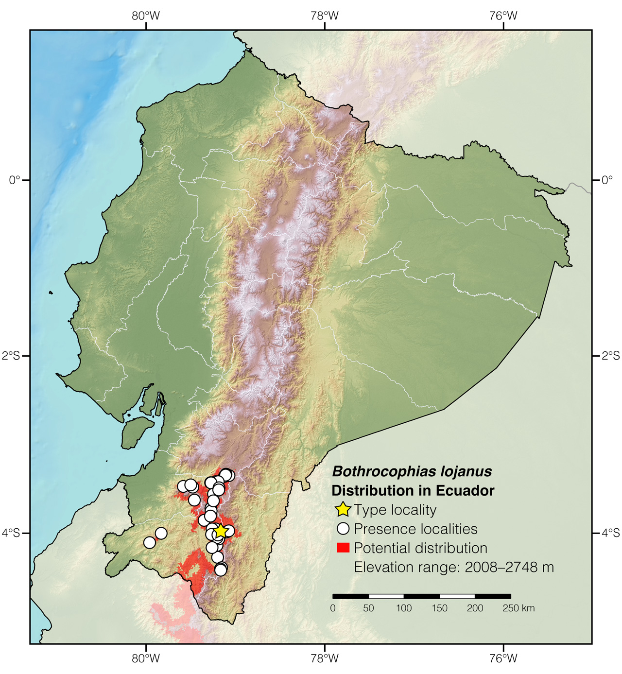 Distribution of Bothrocophias lojanus in Ecuador