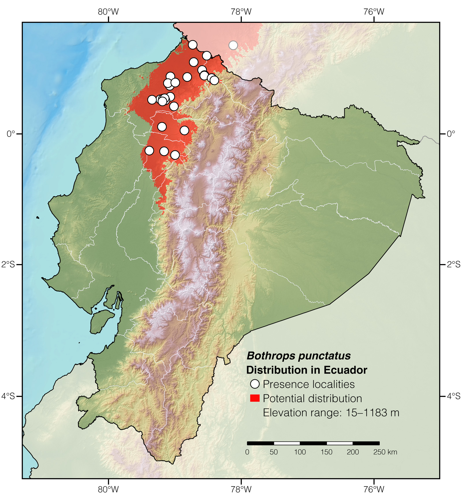 Distribution of Bothrops punctatus in Ecuador
