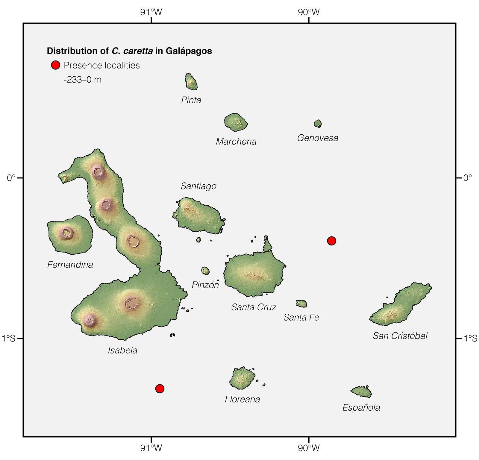 Distribution of Caretta caretta in Galápagos
