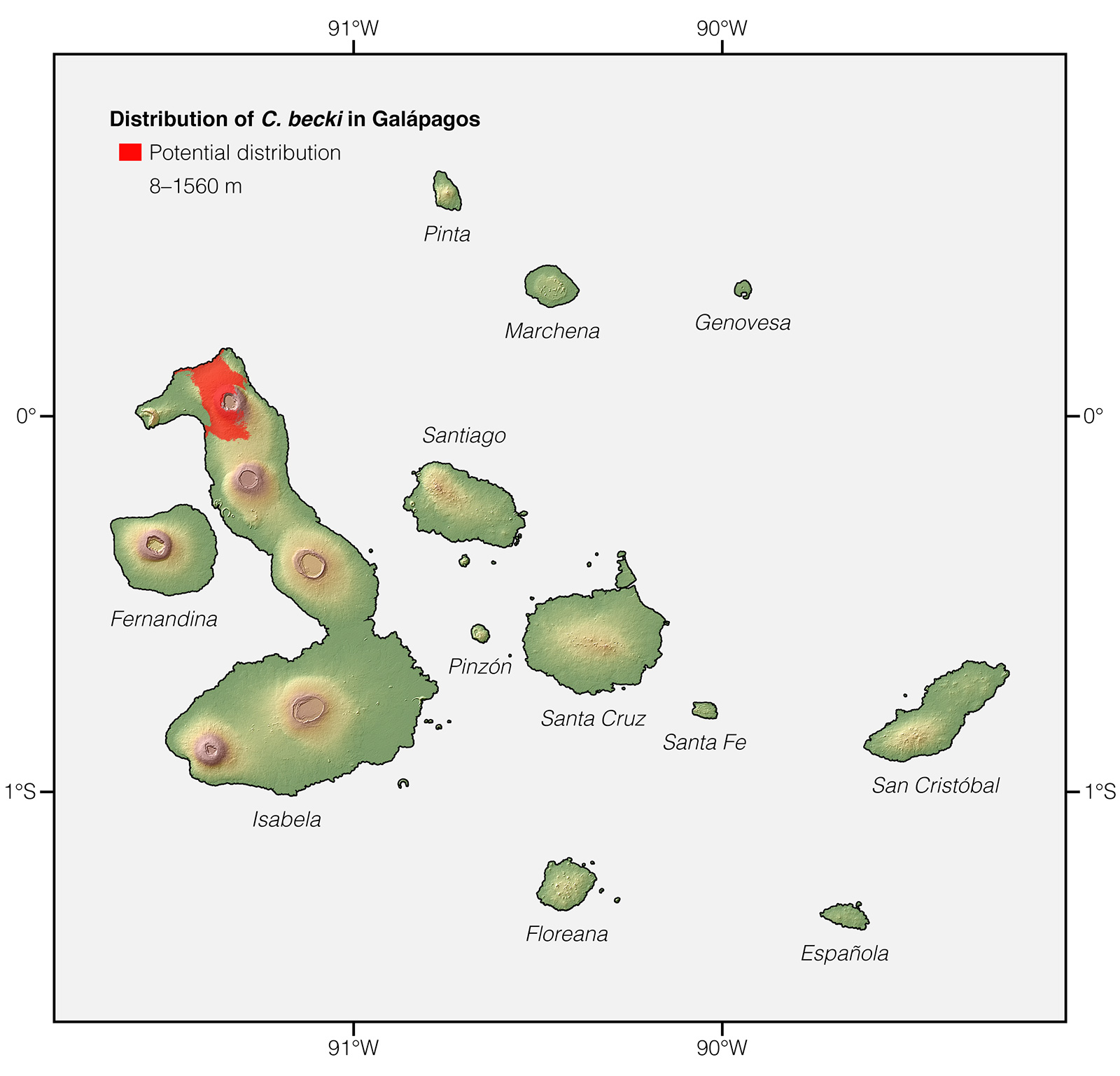 Distribution of Chelonoidis becki