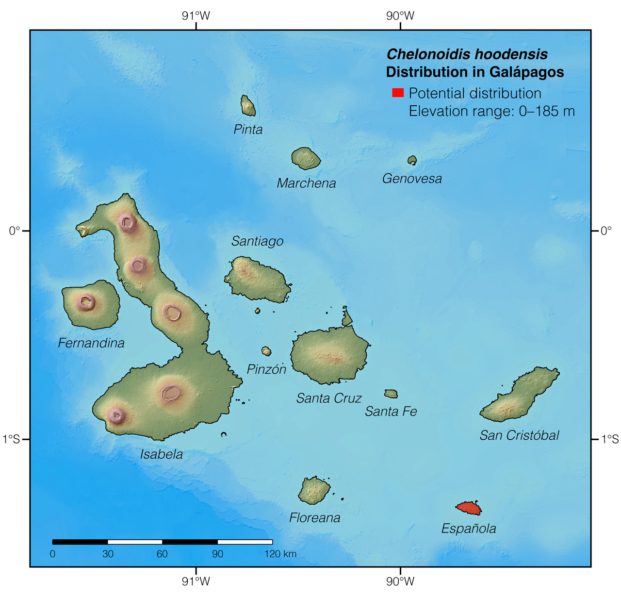 Distribution of Chelonoidis hoodensis