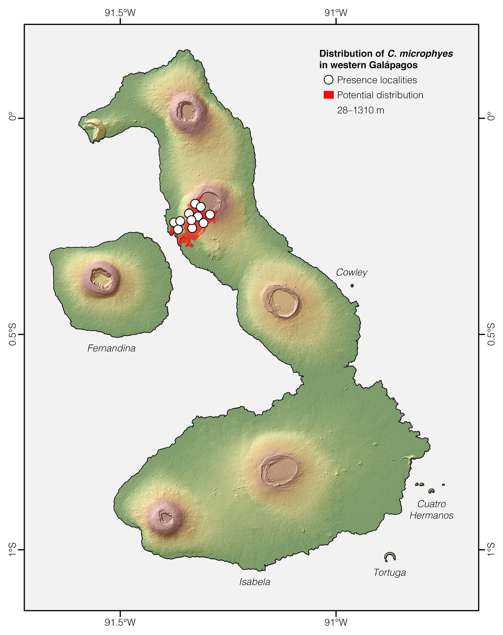 Distribution of Chelonoidis microphyes in western Galápagos