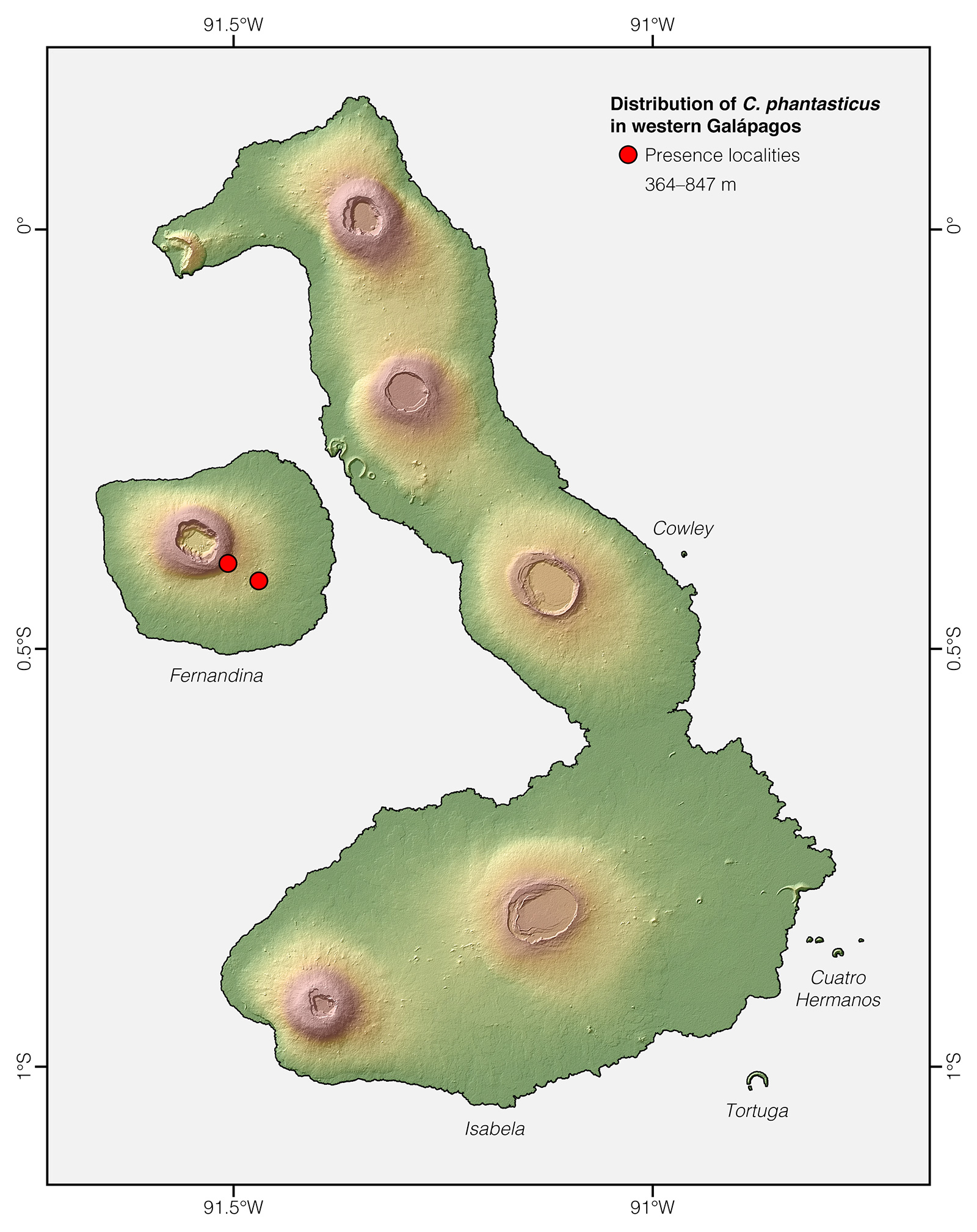 Distribution of Chelonoidis phantasticus in western Galápagos