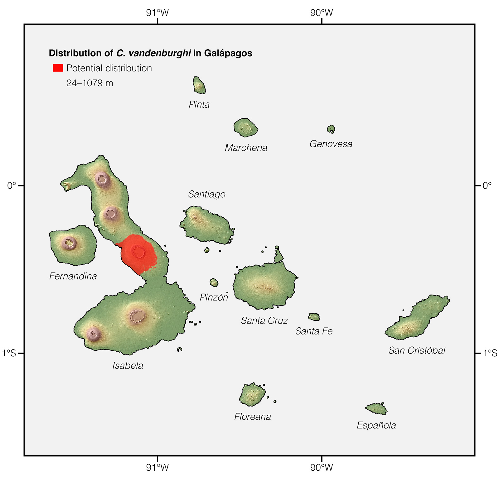 Distribution of Chelonoidis vandenburghi