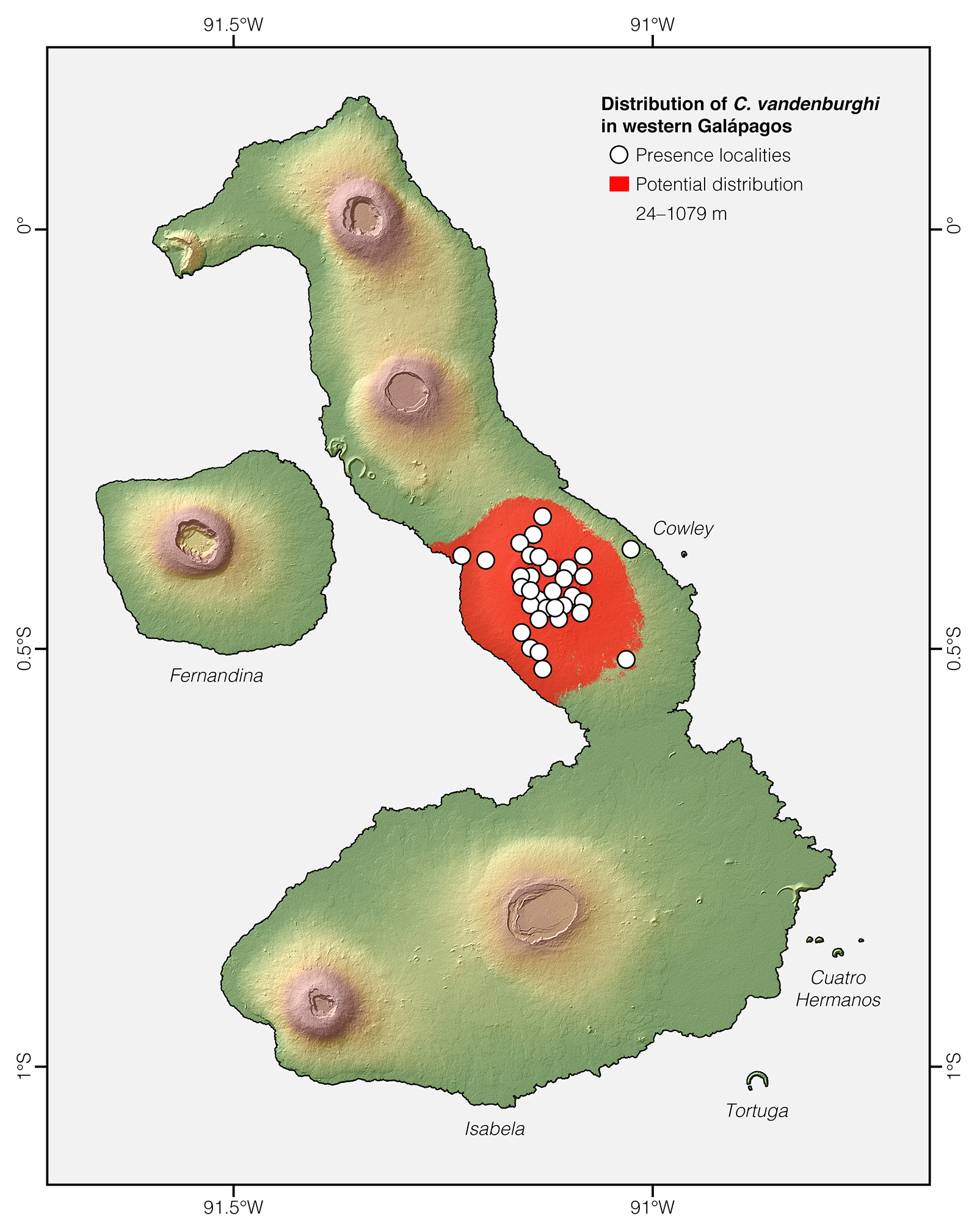 Distribution of Chelonoidis vandenburghi in western Galápagos