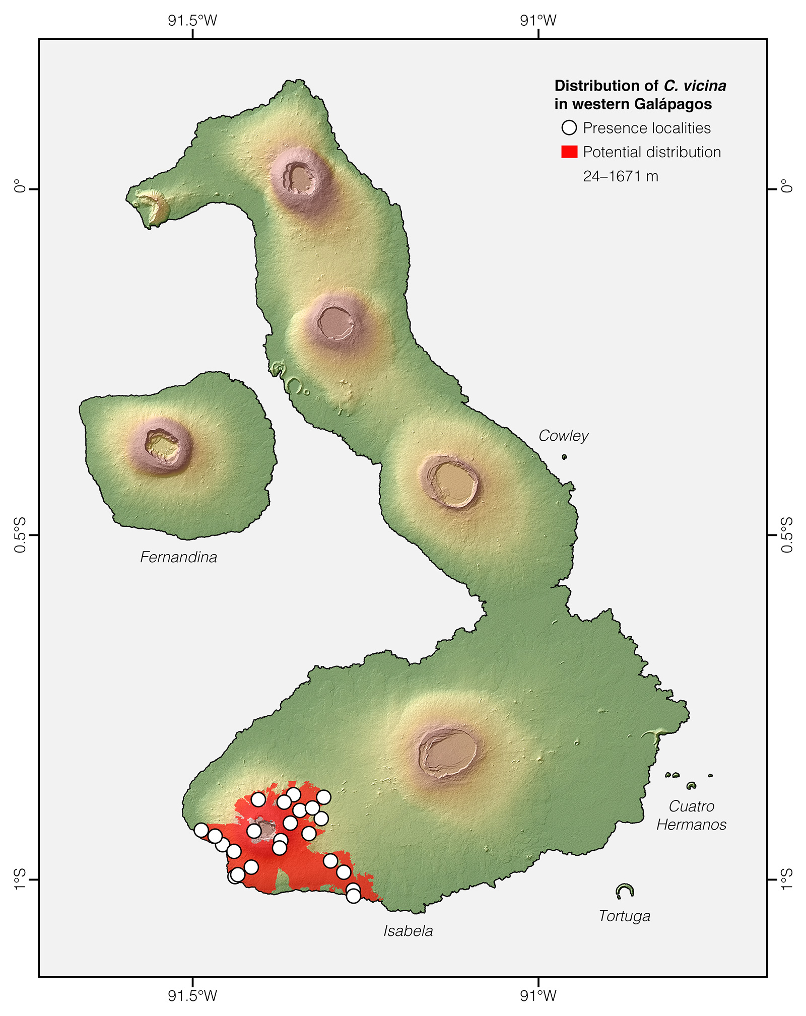 Distribution of Chelonoidis vicina in western Galápagos