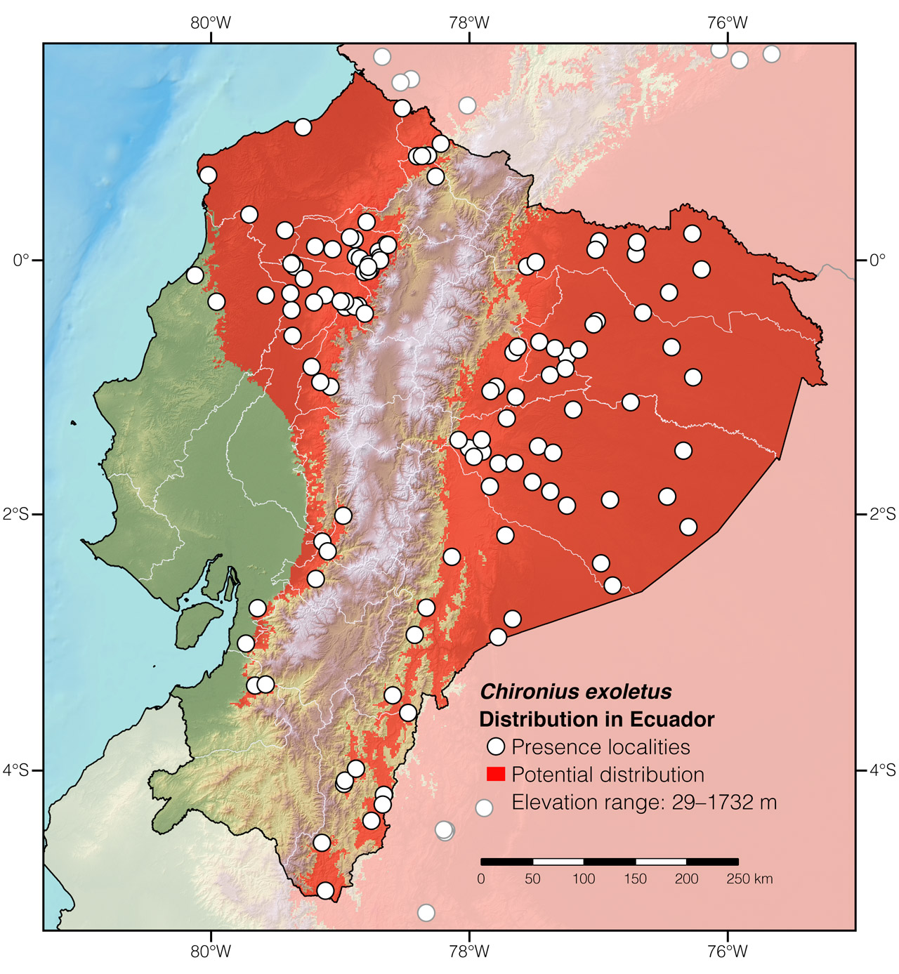 Distribution of Chironius exoletus in Ecuador