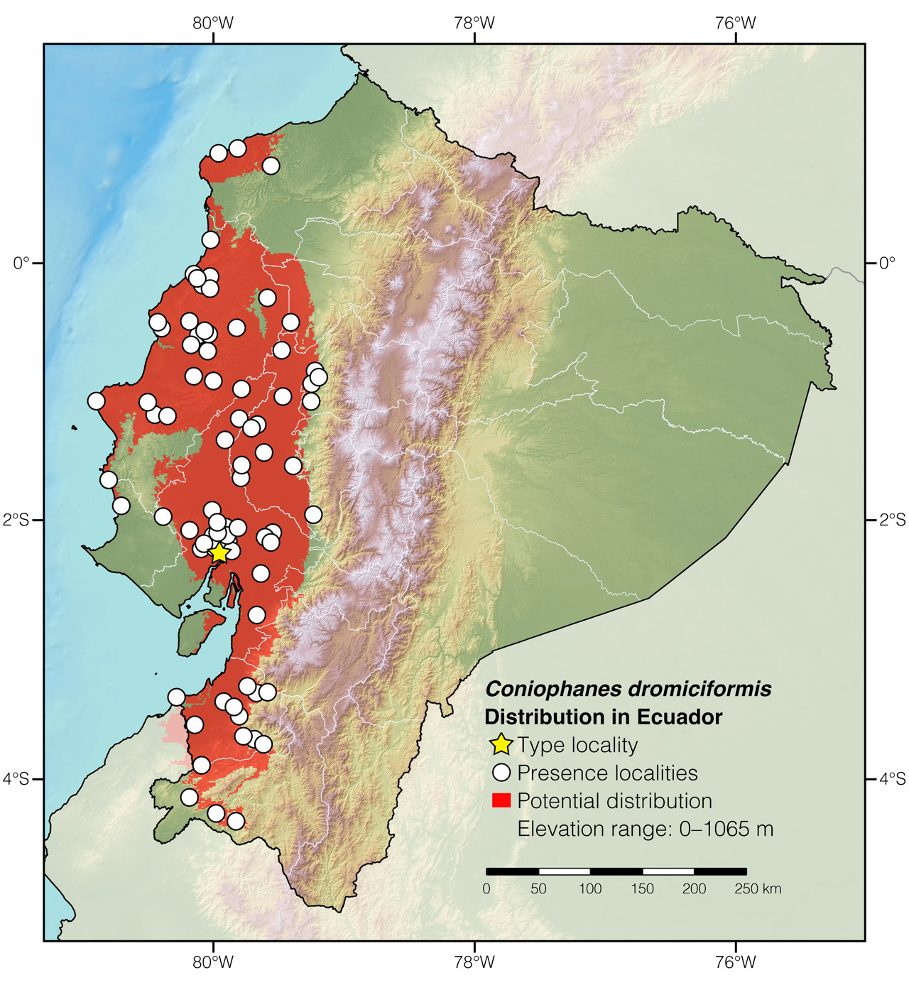 Distribution of Coniophanes dromiciformis in Ecuador