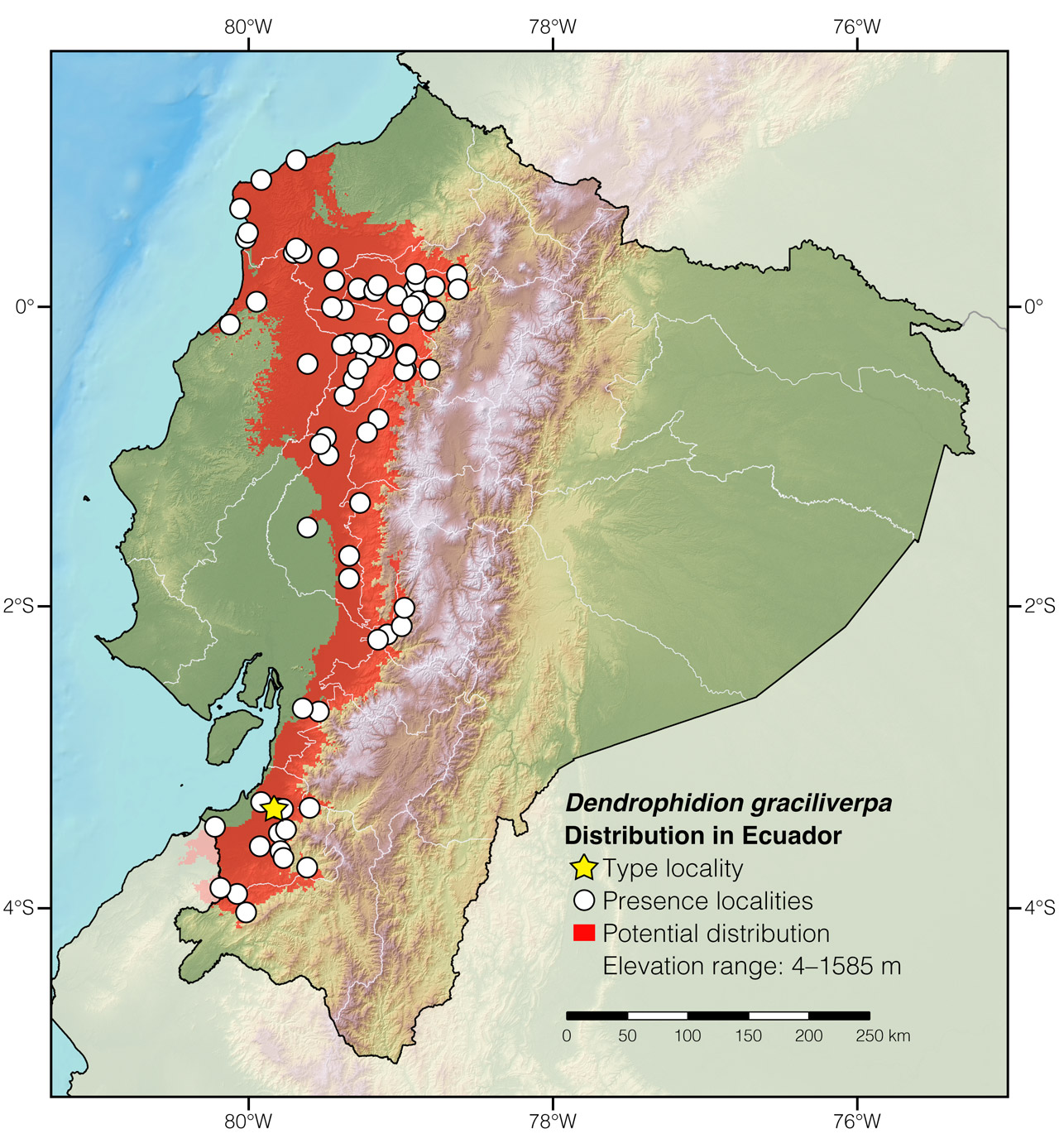 Distribution of Dendrophidion graciliverpa in Ecuador