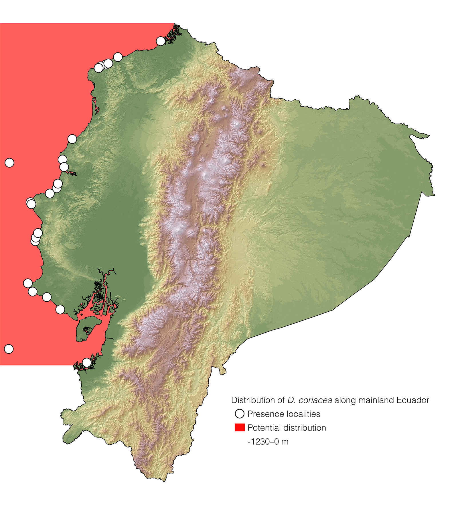 Distribution of Dermochelys coriacea along mainland Ecuador