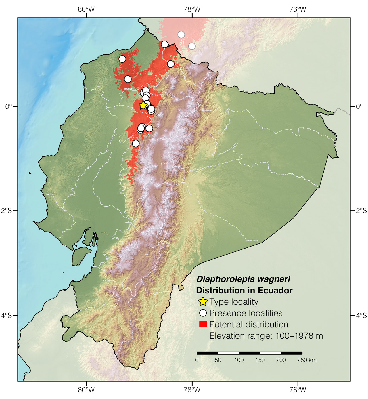 Distribution of Diaphorolepis wagneri in Ecuador
