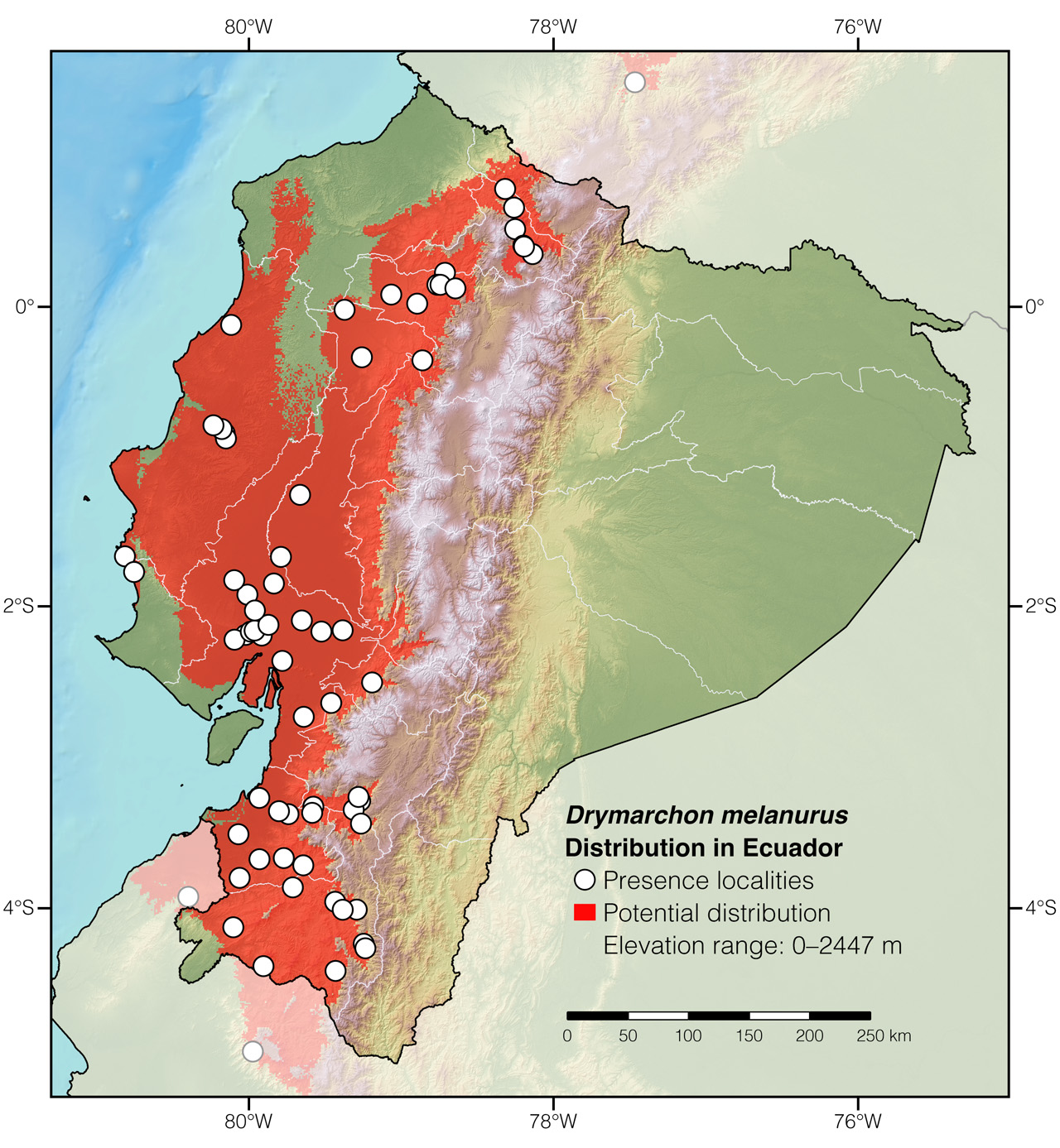 Distribution of Drymarchon melanurus in Ecuador