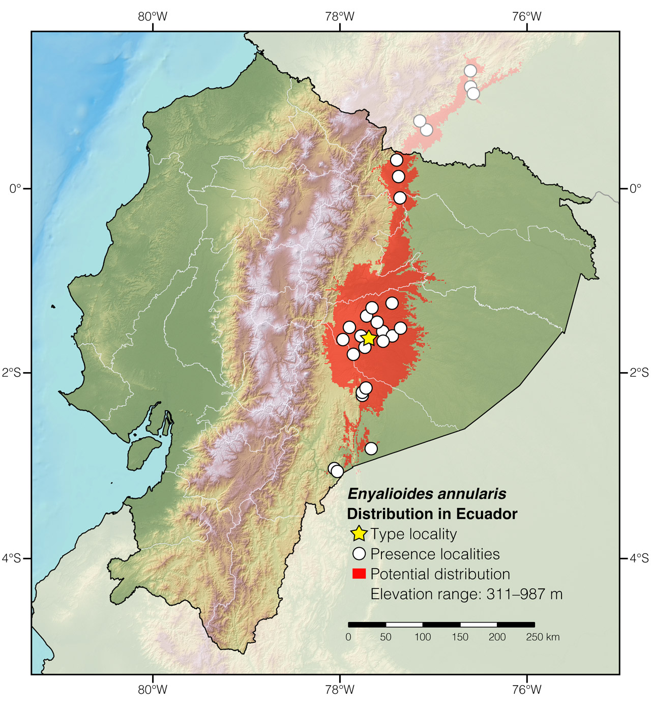 Distribution of Enyalioides annularis in Ecuador
