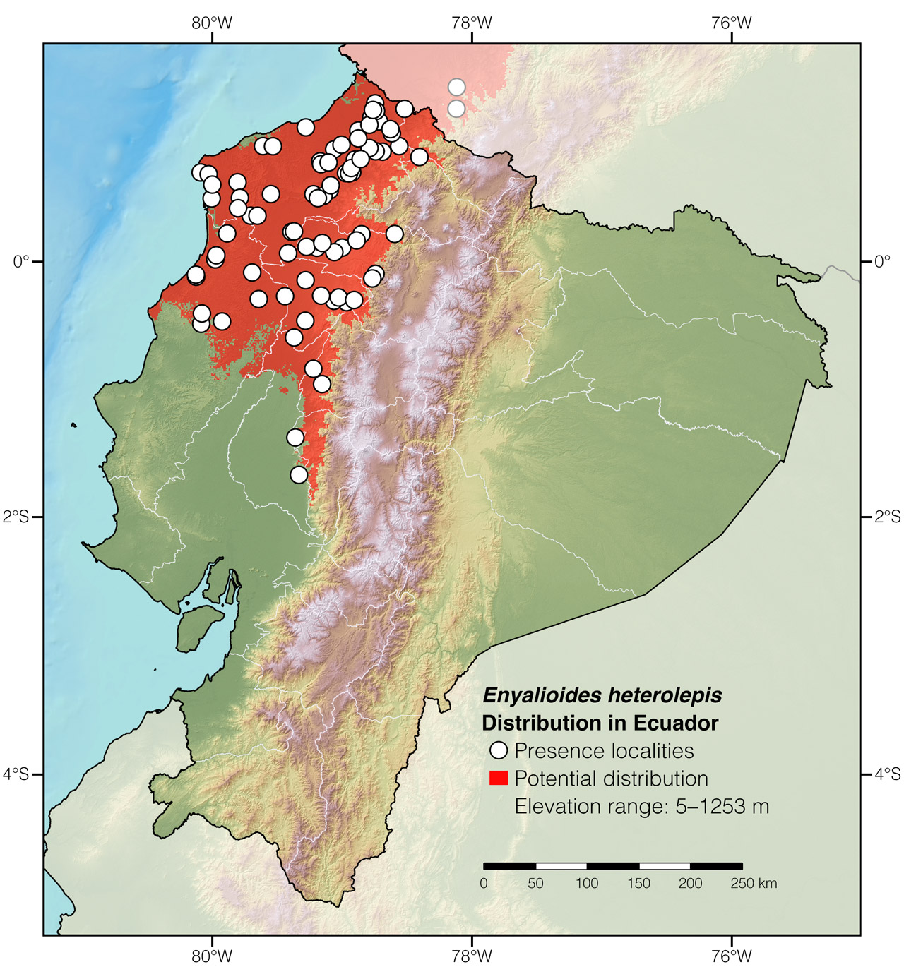 Distribution of Enyalioides laticeps in Ecuador