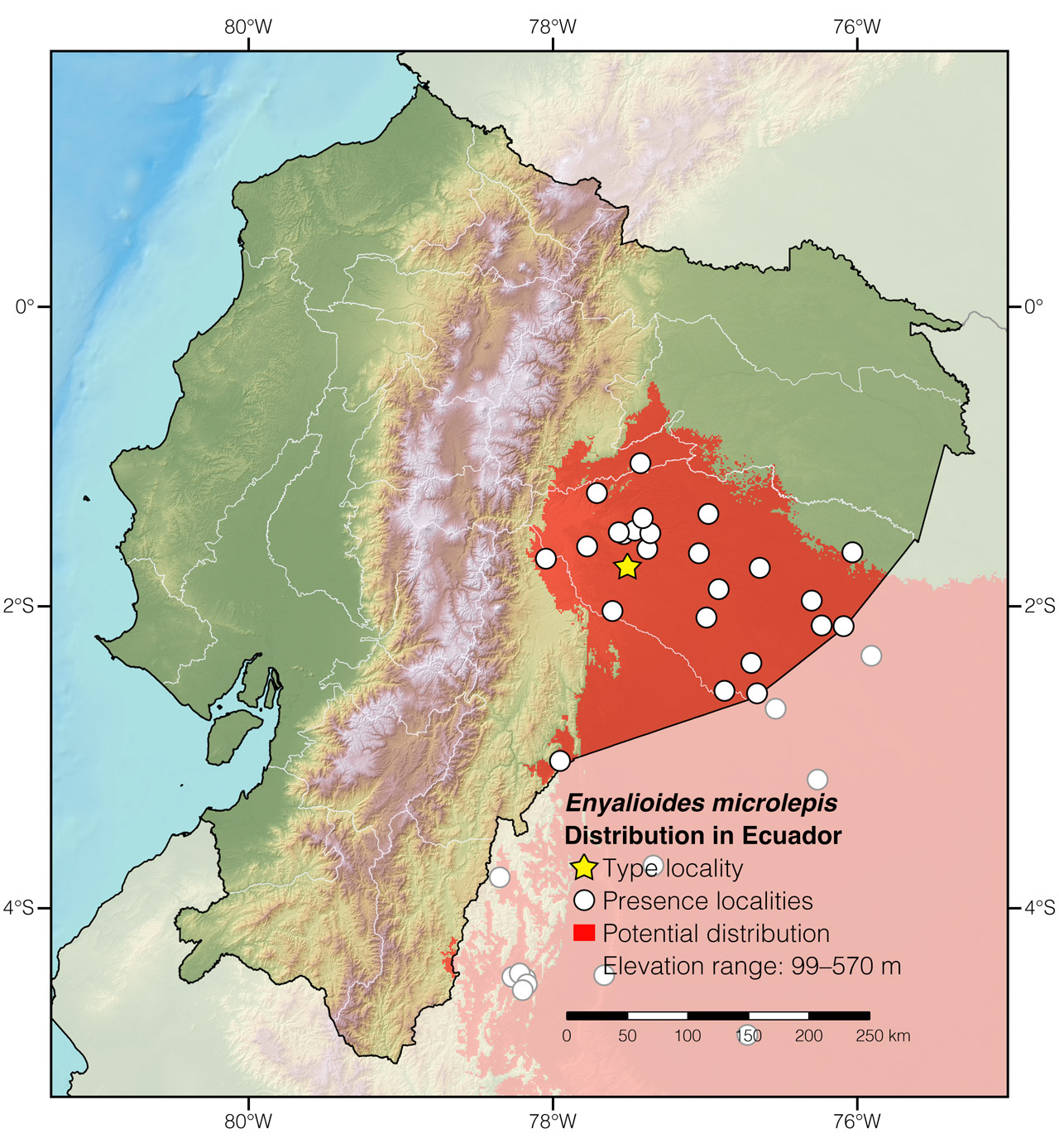 Distribution of Enyalioides microlepis in Ecuador