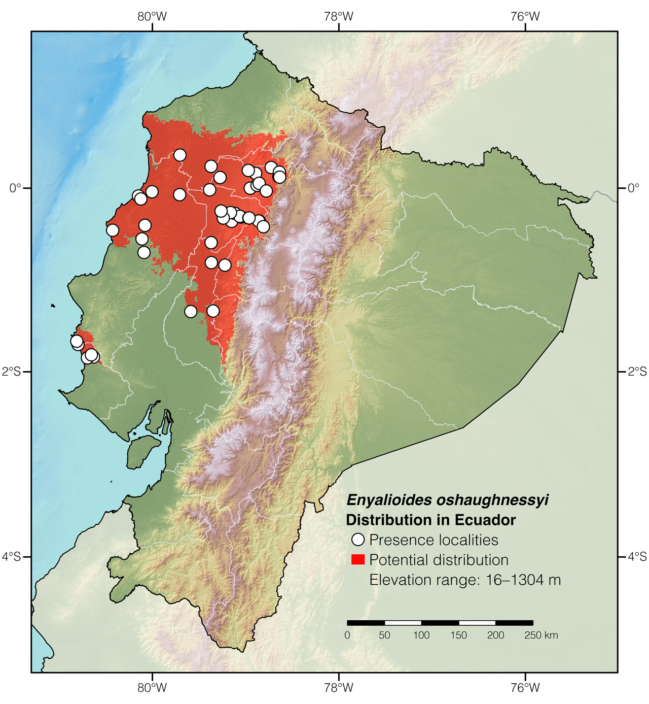 Distribution of Enyalioides oshaughnessyi in Ecuador